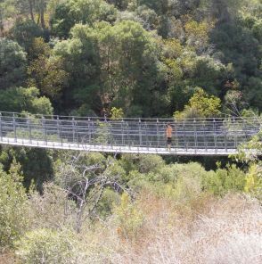 בגובה הגשר: טיול משפחתי בכרמל