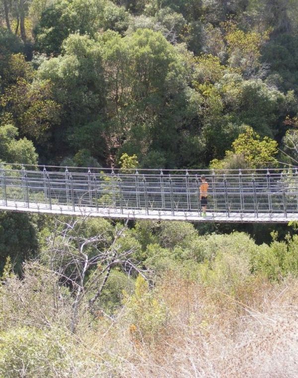 תמונה של בגובה הגשר: טיול משפחתי בכרמל - למטייל בישראל (טיולי)