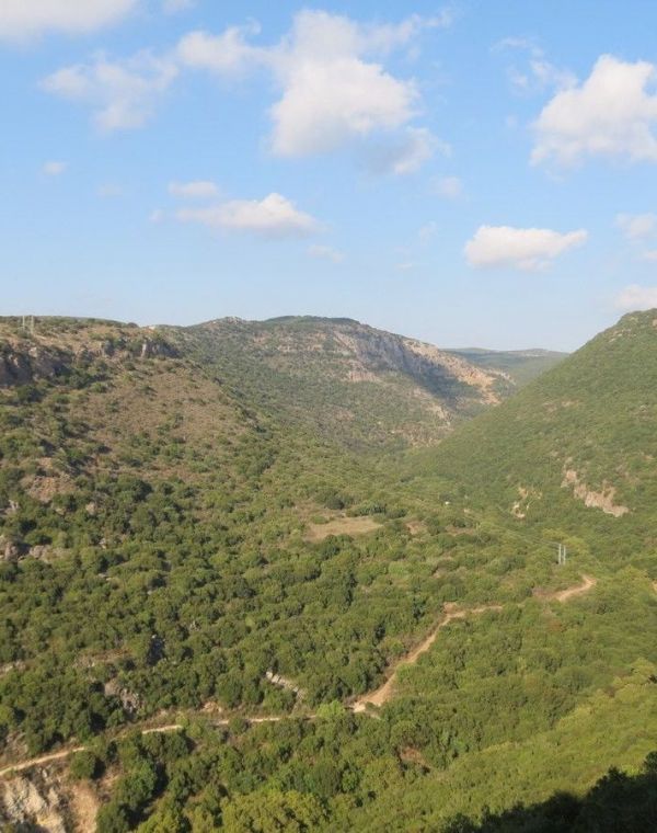 תמונה של הנחל היפה של הגליל המערבי - למטייל בישראל (טיולי)