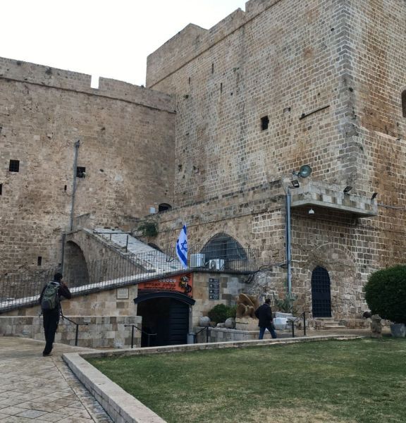 תמונה של אולמות האבירים בעכו: להכיר את הצלבנים מקרוב - למטייל בישראל (טיולי)
