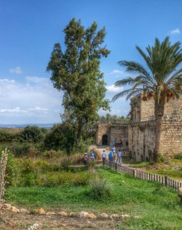 תמונה של מבצרים, מעיינות ונחלים - למטייל בישראל (טיולי)