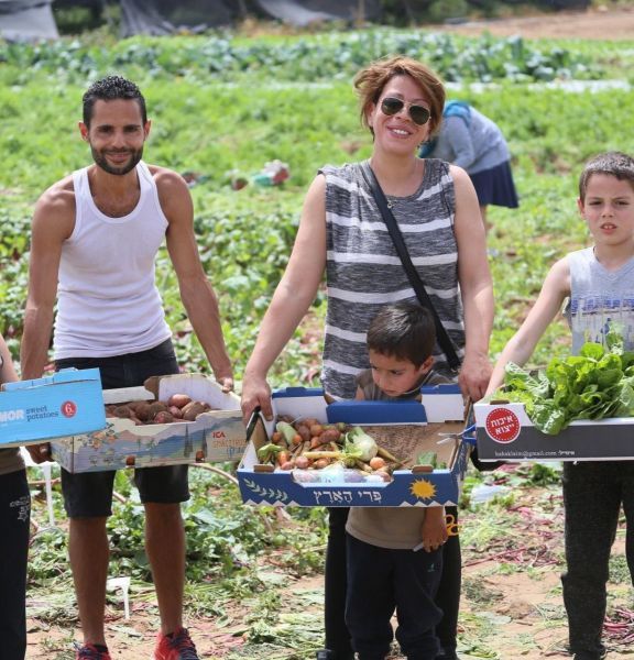 תמונה של משתלת הרא"ה: קטיף ירקות ומשתלה למתנות שוות לחגים - למטייל בישראל (טיולי)
