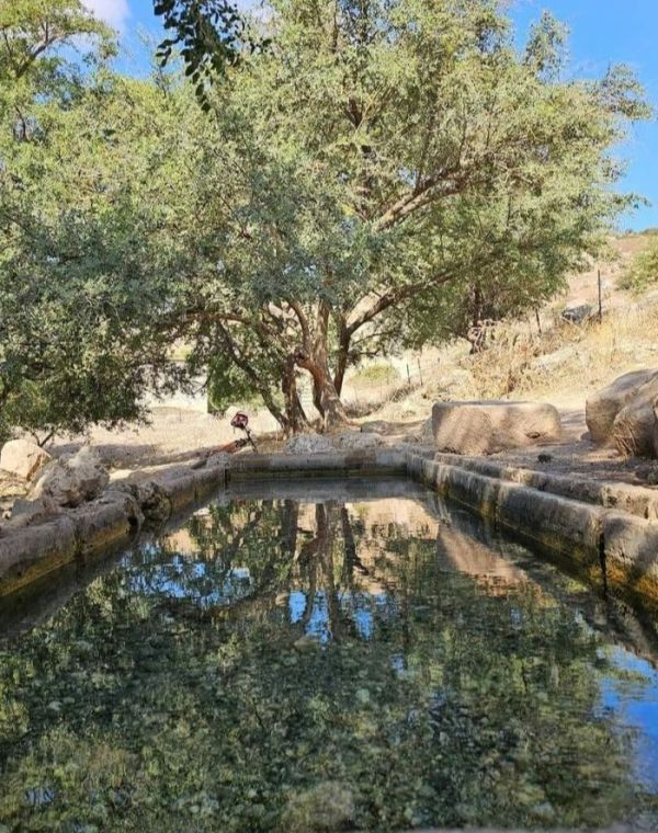 תמונה של מבט קדימה: 10 תצפיות שרואות למרחקים - למטייל בישראל (טיולי)