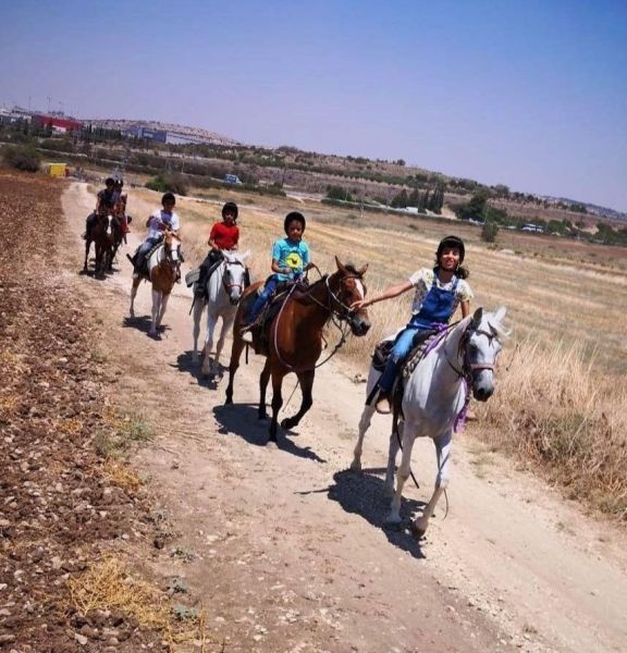 תמונה של חוות המאלף: רכיבה על סוסים באזור מודיעין - למטייל בישראל (טיולי)