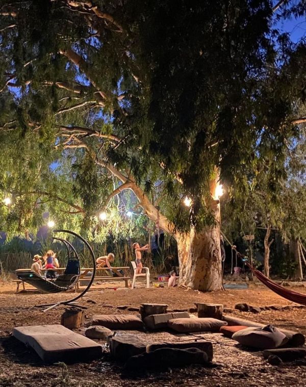 תמונה של חוות נטורה: חווה אקולוגית בדרום רמת הגולן - למטייל בישראל (טיולי)