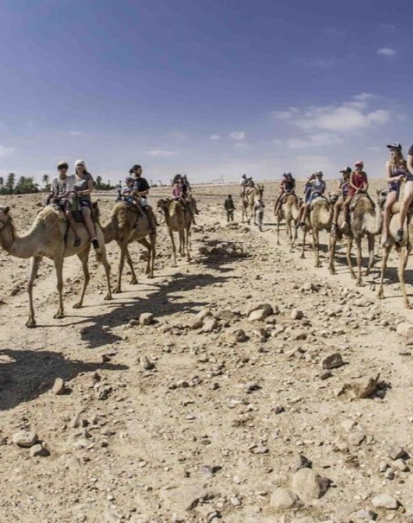 תמונה של כפר הנוקדים: חווית לינה מיוחדת במדבר יהודה - למטייל בישראל (טיולי)