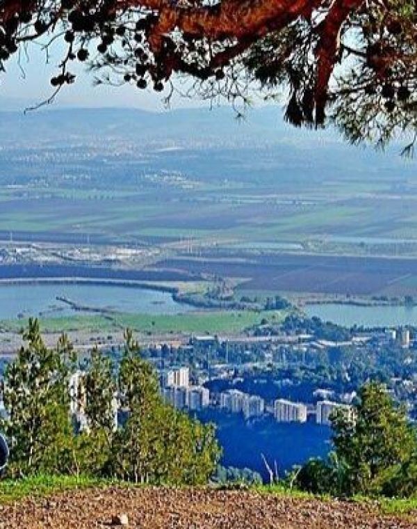 תמונה של ארבעים על הכרמל - למטייל בישראל (טיולי)