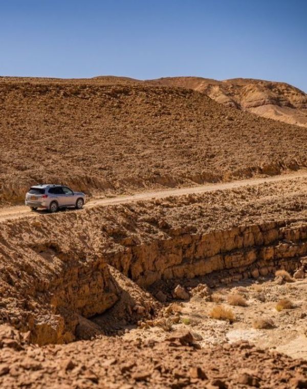 תמונה של נודדים במדבר: יום טיול רכוב בדרום הנגב - למטייל בישראל (טיולי)