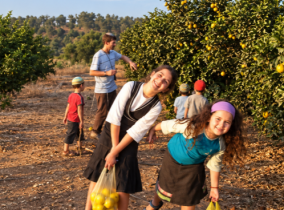 בחג הזה חושבים מחוץ לסוכה
