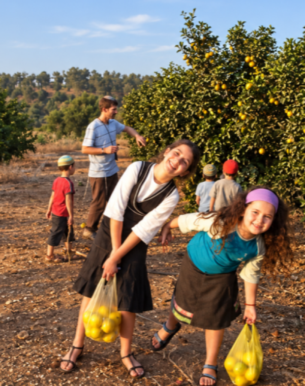 תמונה של בחג הזה חושבים מחוץ לסוכה - למטייל בישראל (טיולי)