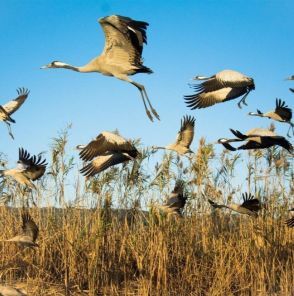 שינויי מזג האוויר: 7 רעיונית לטיולי סתיו