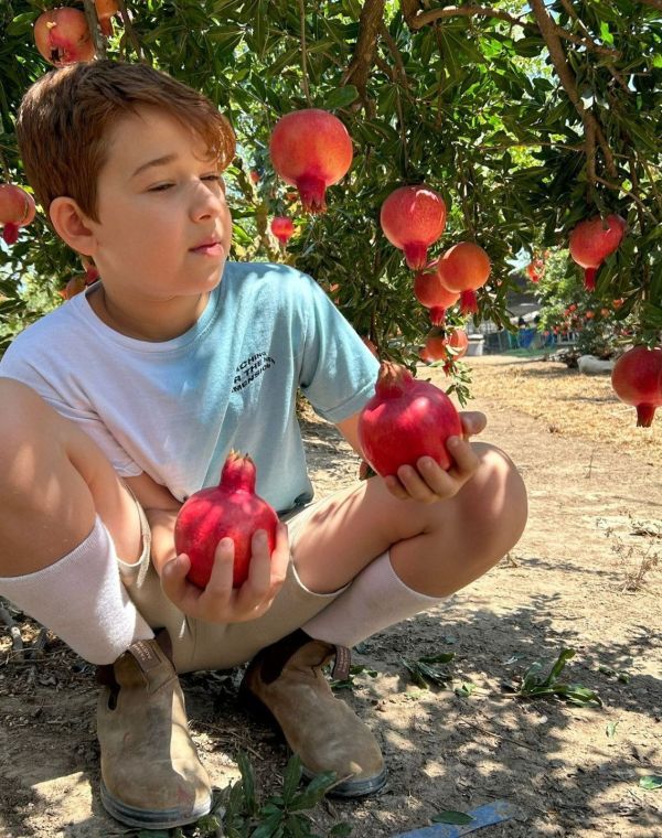 תמונה של אגרונן: חוויית קטיף בחיק הטבע - למטייל בישראל (טיולי)