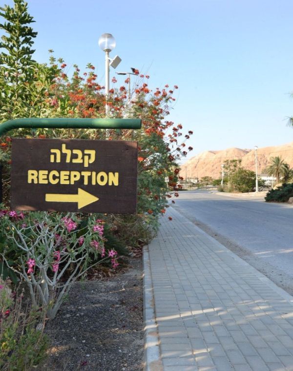 תמונה של כפר הנופש אלמוג: נופש משפחתי קסום ליד ים המלח - למטייל בישראל (טיולי)