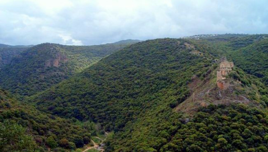 תמונה מתוך תוכן באתר למטייל בישראל (טיולי)