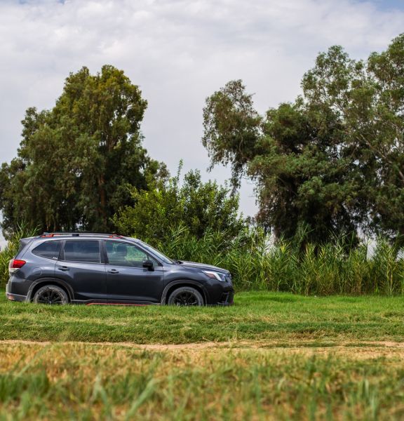 תמונה של שביל ישראל 4X4 - מקטע 1: משמורת נחל חרמון עד לכרכום - למטייל בישראל (טיולי)