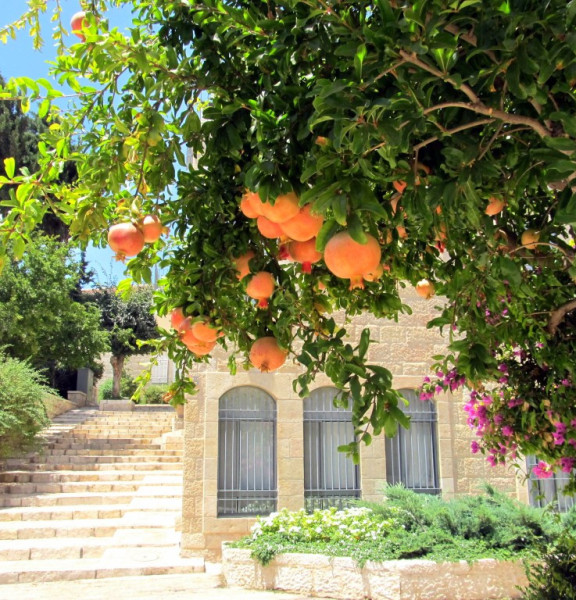 תמונה של משכנות שאננים ושכונות ירושלים הראשונות - למטייל בישראל (טיולי)