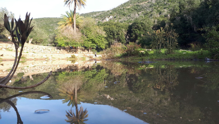 מפתה מאוד להישאר לילה נוסף | צילום: איתי דר