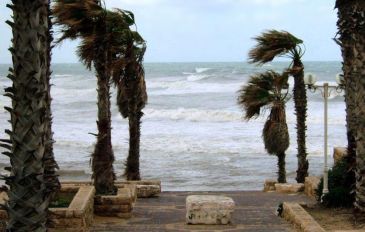 המדרגות בחוף עליה - חוף גבעת עליה ביפו: נקודת קפה חורפית (2)