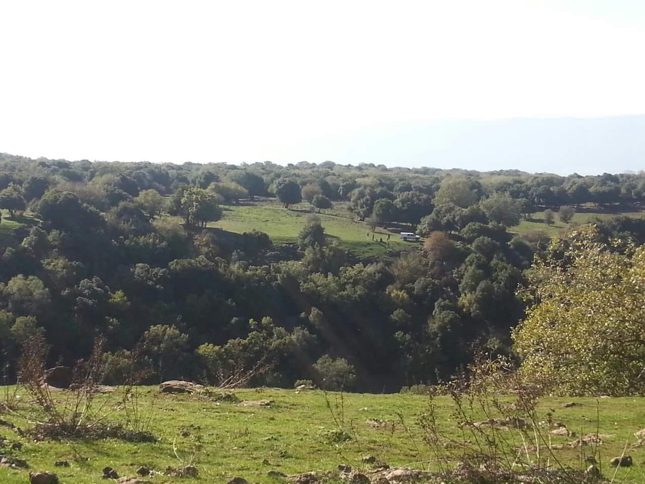 הג'ובה הגדולה. צילום: אסי וייסמן