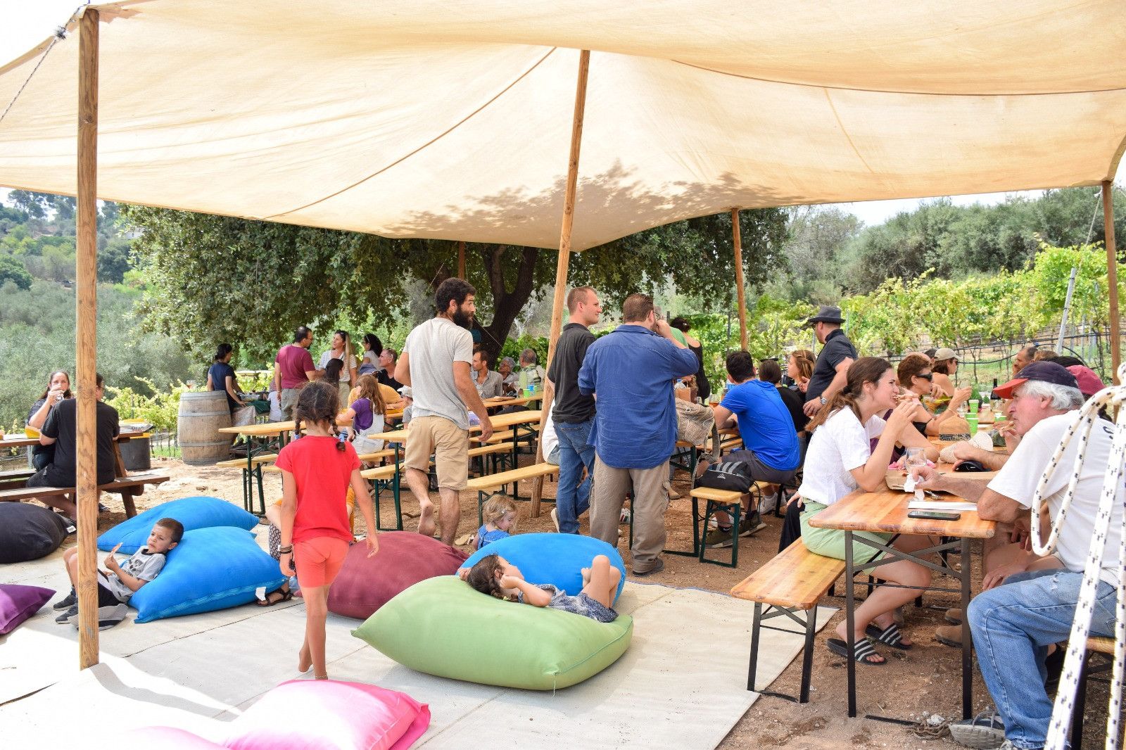יקב יונה – יקב בוטיק בלב ציפורי (9)