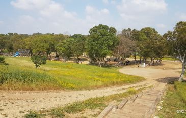 מצפה ראש ציפור - מצפה ראש ציפור: תצפית נהדרת על גוש דן (3)
