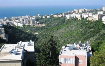 נחל לוטם - נחל לוטם וגן החיות הלימודי בחיפה (3)