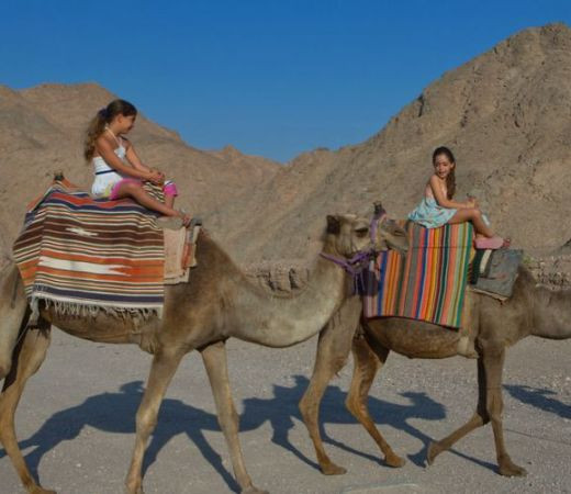 תמונה של נווד ליום אחד: 5 חוויות מדבריות שאסור לכם לפספס - למטייל בישראל (טיולי)