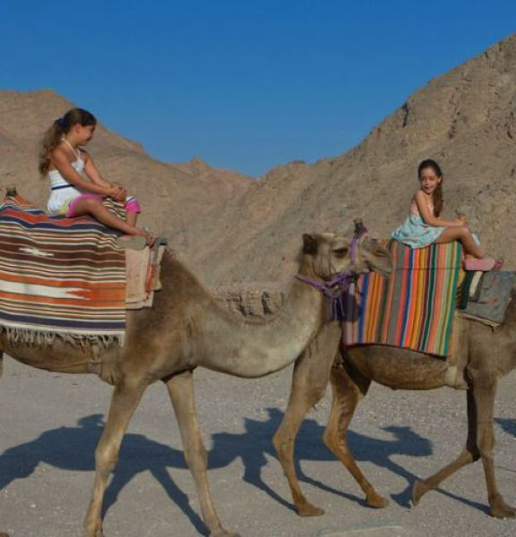 תמונה של נווד ליום אחד: 5 חוויות מדבריות שאסור לכם לפספס - למטייל בישראל (טיולי)