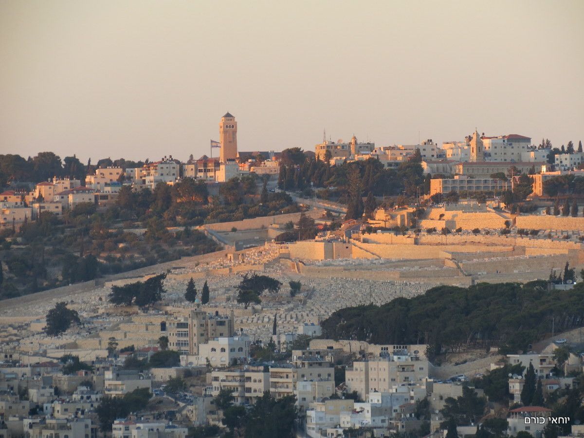 טיילת ארמון הנציב | צילום: יוחאי כורם