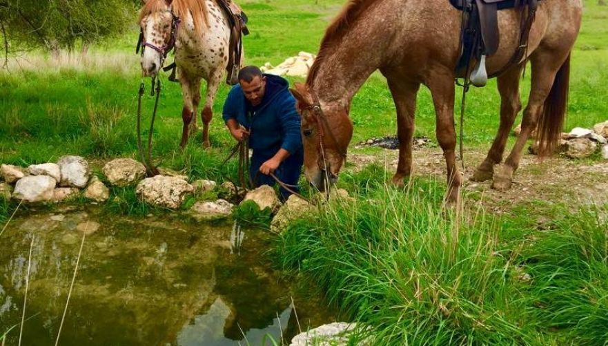 תמונה מתוך תוכן באתר למטייל בישראל (טיולי)