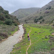 תמונה מתוך למטייל בישראל (טיולי)