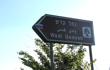 הירידה לנחל קדש מכביש 886 - נחל קדש (2)