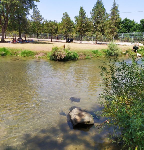 תמונה של המחלק בקיבוץ דפנה - למטייל בישראל (טיולי)