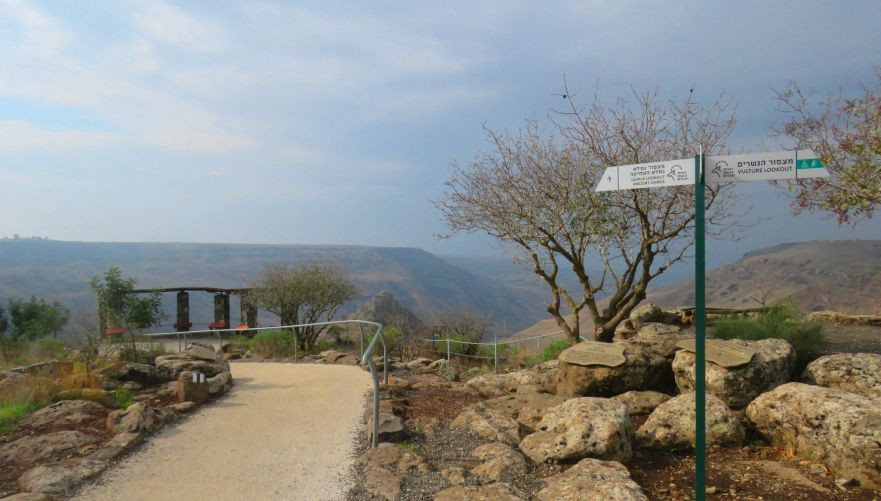 בדרך לתצפית בשמורת גמלא | צילום: יניב כהן / רשות הטבע והגנים