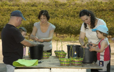 בוצרים ונהנים (2)