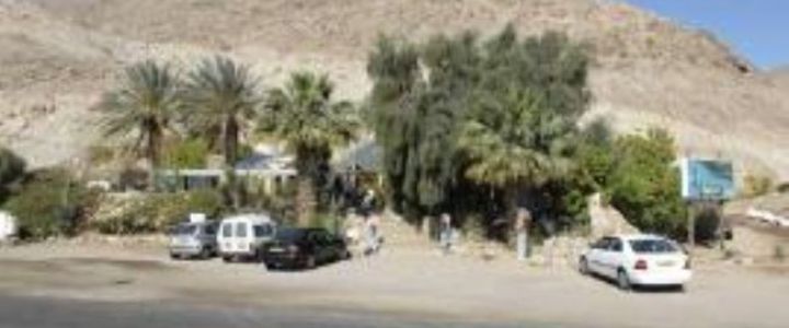 כפר הצוללים (1)