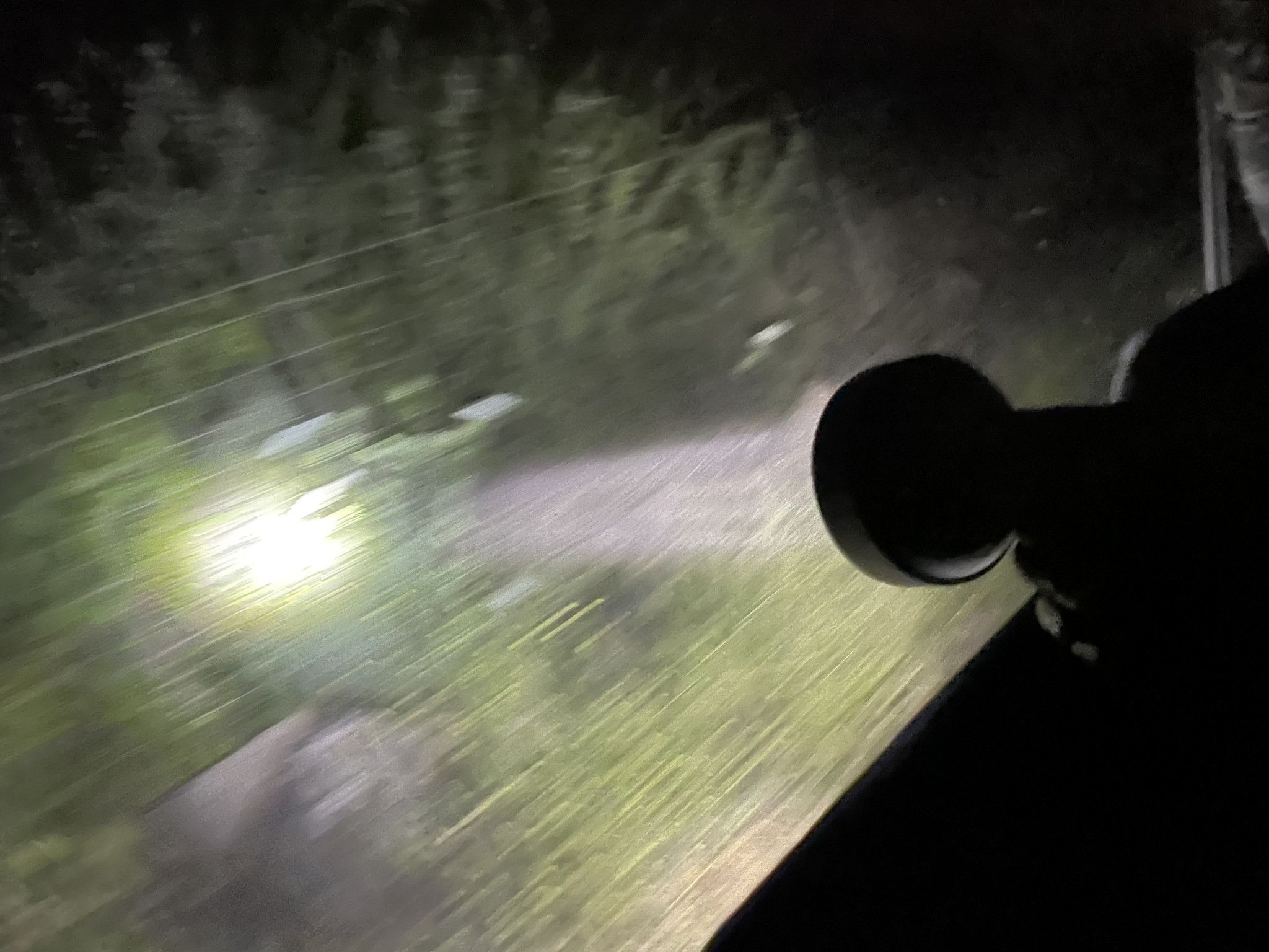 מחפשים זוג עיניים בחושך | צילום: שיר בהר