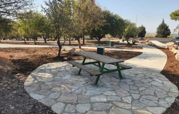 תל יזרעאל (3)