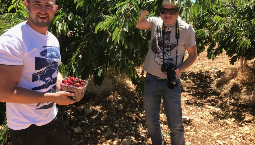 קטיף באקסטרים | צילום: באדיבות ארז טריפ