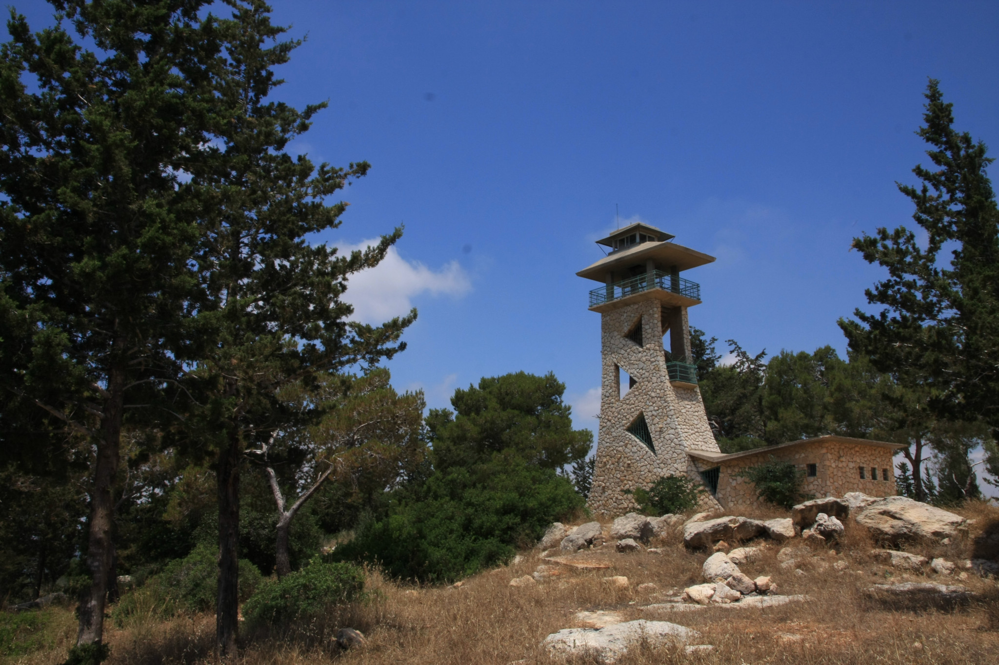 מגדל התצפית ביער אחיהוד | צילום: יעקב שקולניק_ארכיון הצילומים של קקל