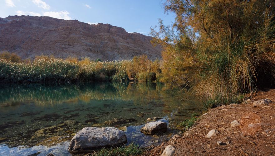 עינות צוקים | צילום: מיכאל פרוסקלוב