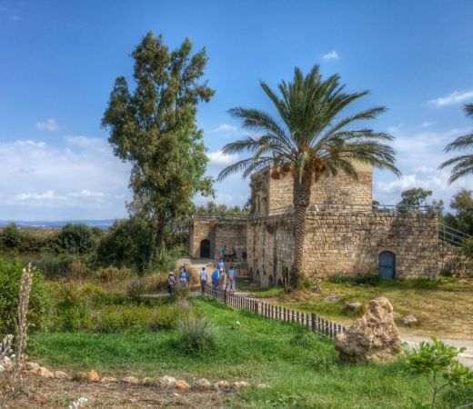 תמונה של יום כיף באזור טמרה: טיול שנראה כמו גלויה וביקור בממלכת הקופים - למטייל בישראל (טיולי)