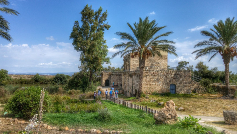יום כיף באזור טמרה: טיול שנראה כמו גלויה וביקור בממלכת הקופים (1)