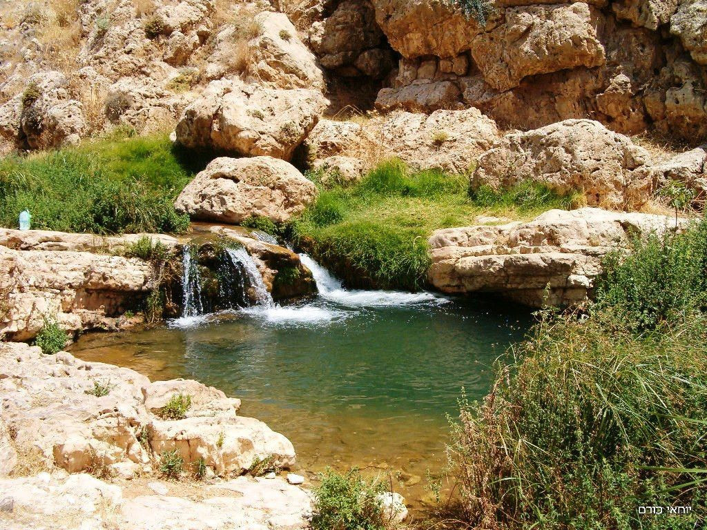 נחל פרת