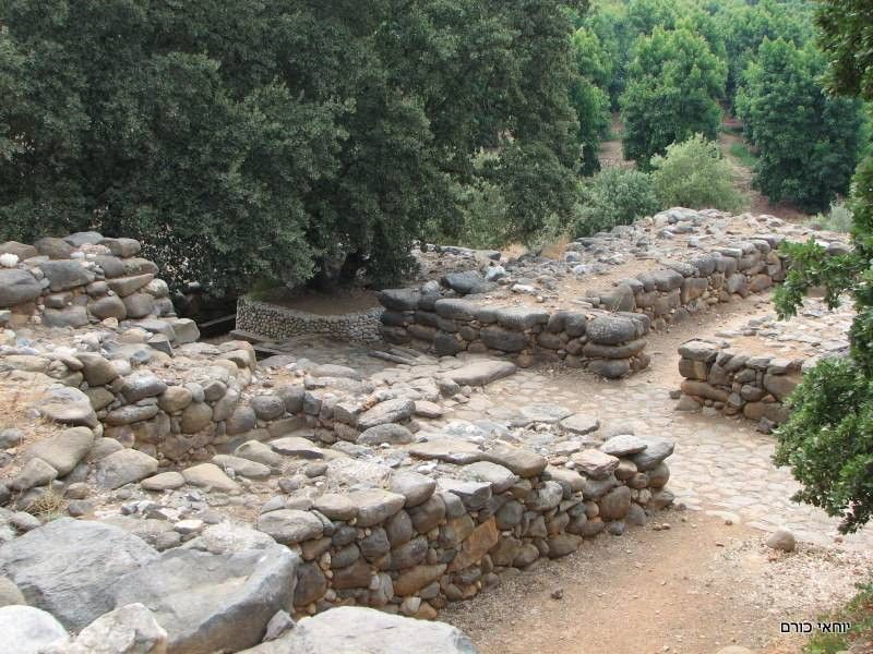 השער העתיק בתל דן | צילום: יוחאי כורם