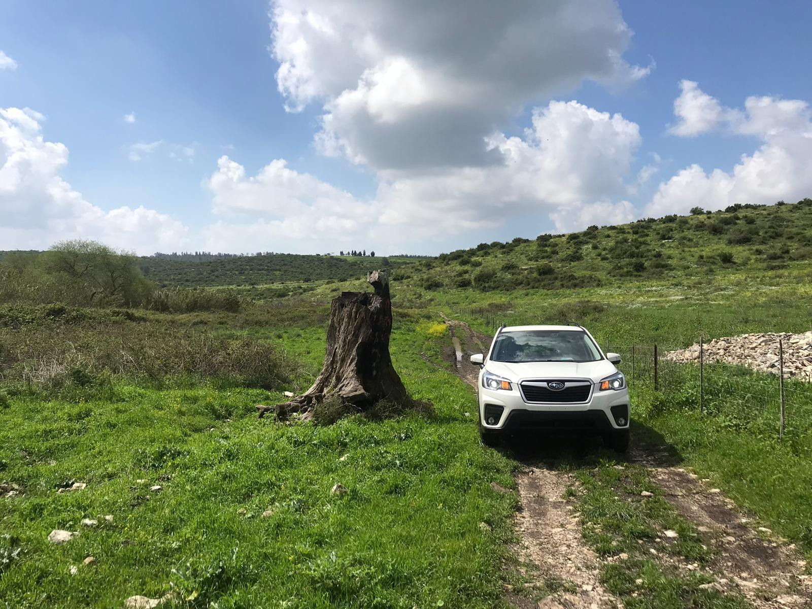 עמק השלום. צילום: ג'וי בירן