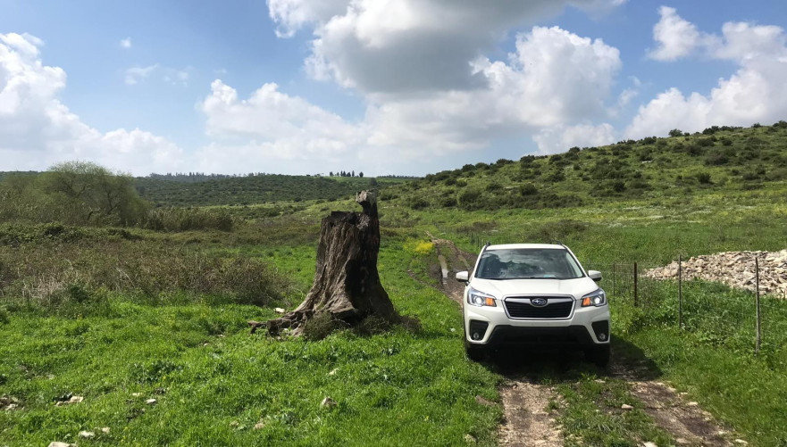 עמק השלום. צילום: ג'וי בירן