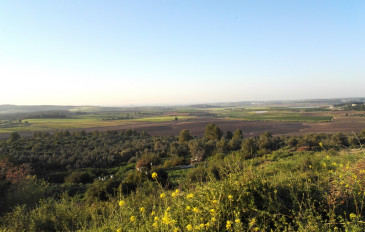 השביל שלנו: 6 המסלולים שיפגישו אתכם עם החברה הישראלית (3)