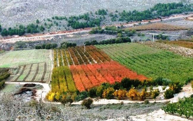 תמונה מתוך תוכן באתר למטייל בישראל (טיולי)