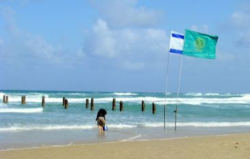 המזח בחוף בית ינאי - בדרך אל הים: טיול לצד אחד הנחלים היפים בשרון | המלצה לסופ